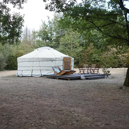 Yourte Mongole Champfromier